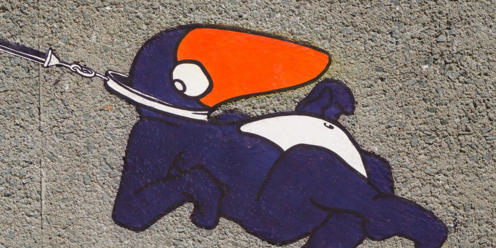 06092012-_DSC0140_2560x800_acf_cropped