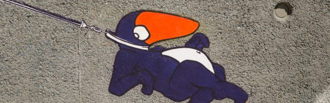 06092012-_DSC0140_2560x800_acf_cropped